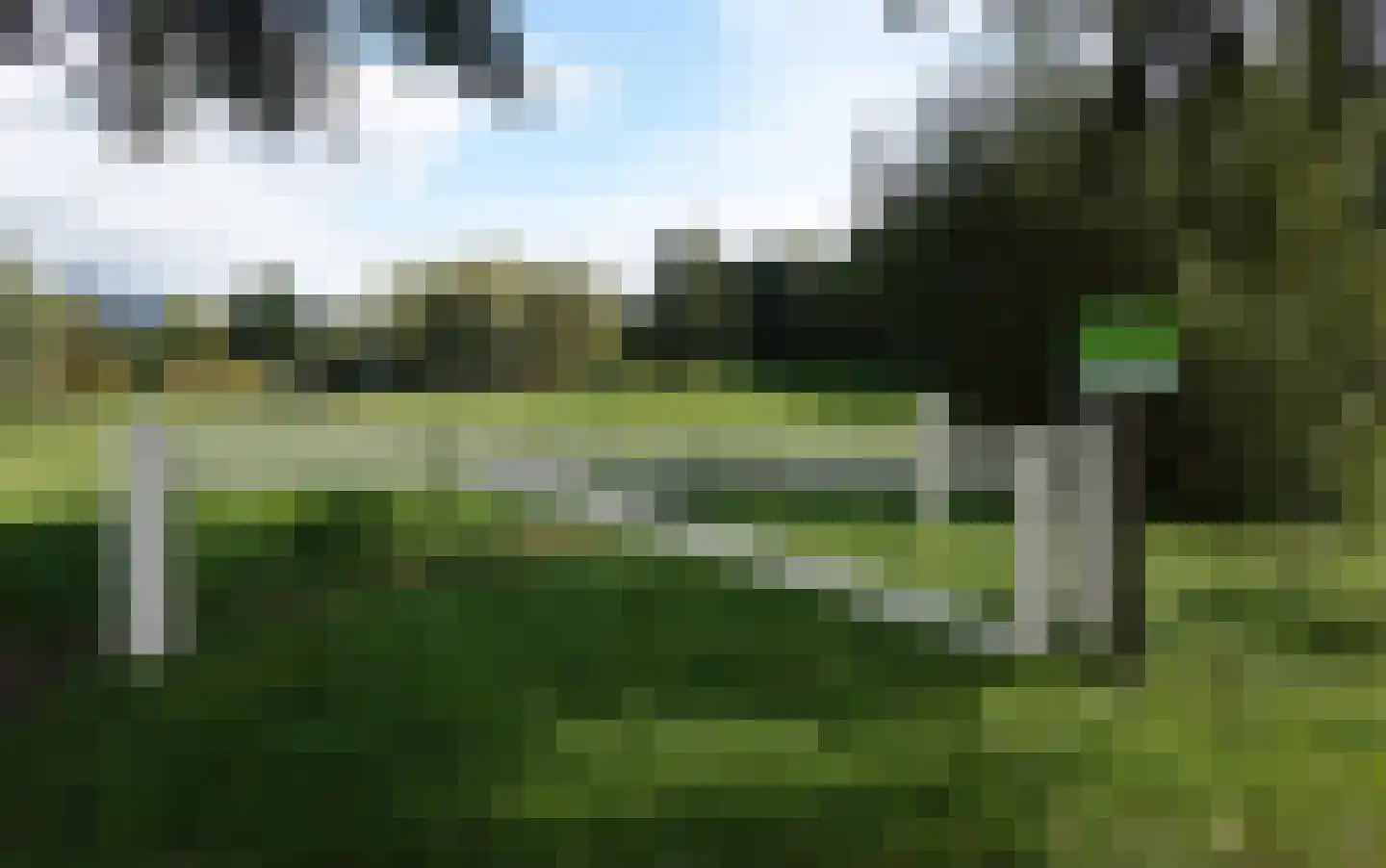Rietveen 43 Veenendaal thumbnail 50