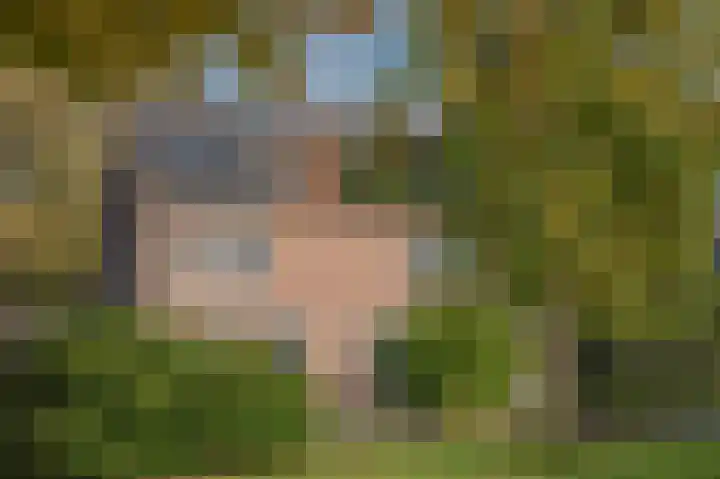 Rietveld 10 in Assen