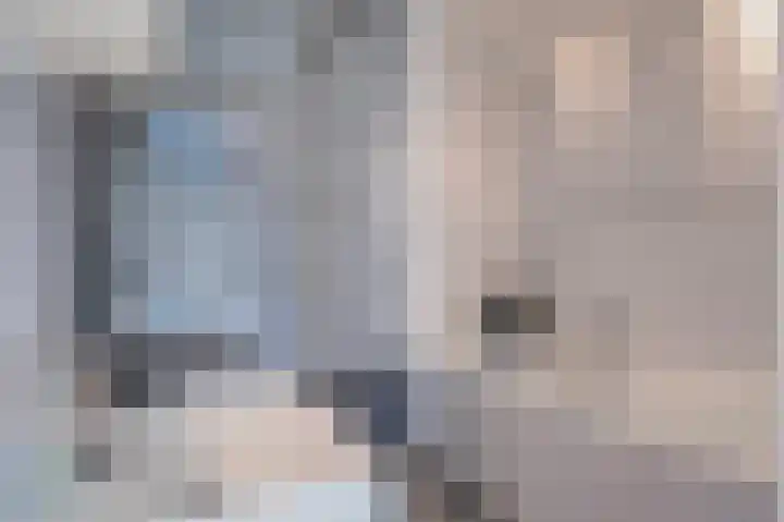 Rietveld 10 Assen thumbnail 18