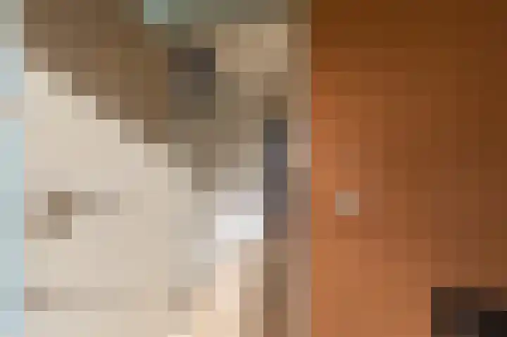 Rietveld 10 Assen thumbnail 21