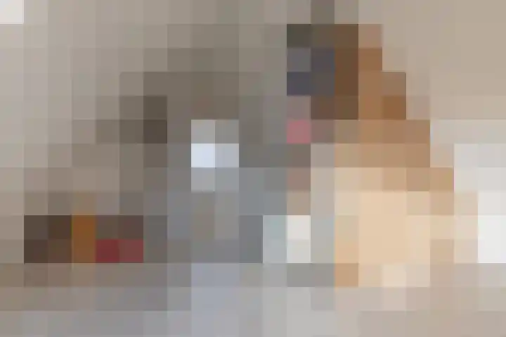 Rietveld 10 Assen thumbnail 23