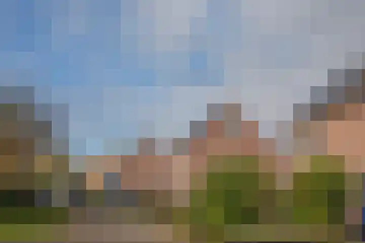 Rietveld 10 Assen thumbnail 29