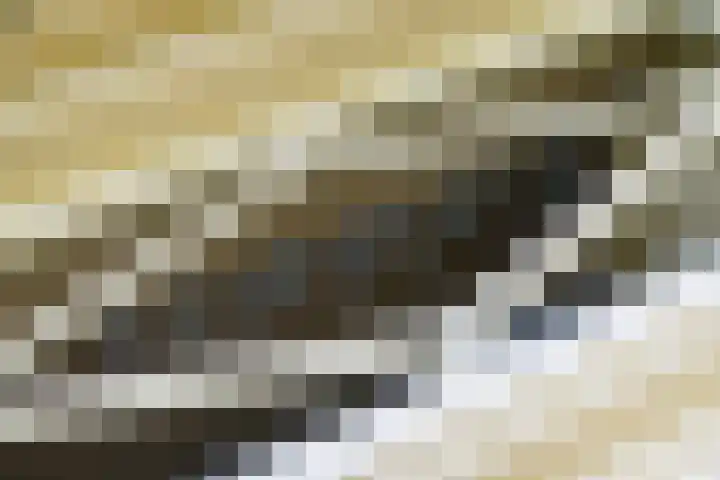 Rietveld 128 Woerden thumbnail 11