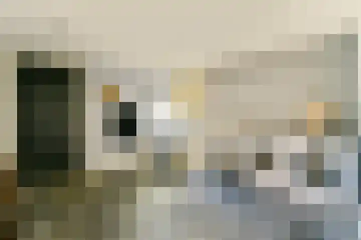 Rietveld 128 Woerden thumbnail 12