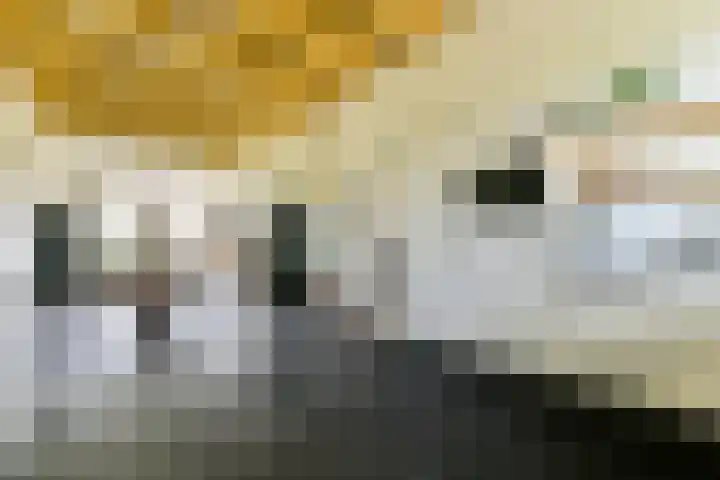 Rietveld 128 Woerden thumbnail 15