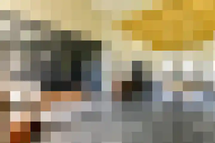 Rietveld 128 Woerden thumbnail 16