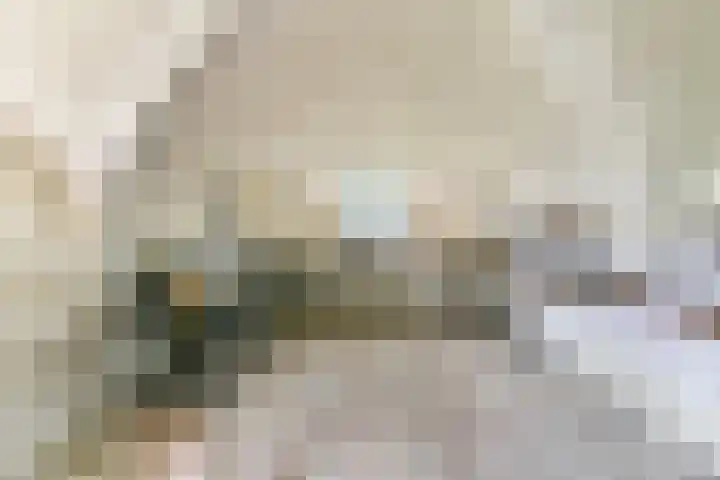 Rietveld 128 Woerden thumbnail 18