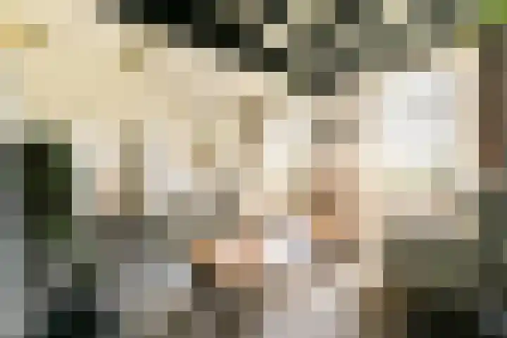 Rietveld 128 Woerden thumbnail 19