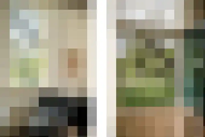 Rietveld 128 Woerden thumbnail 22