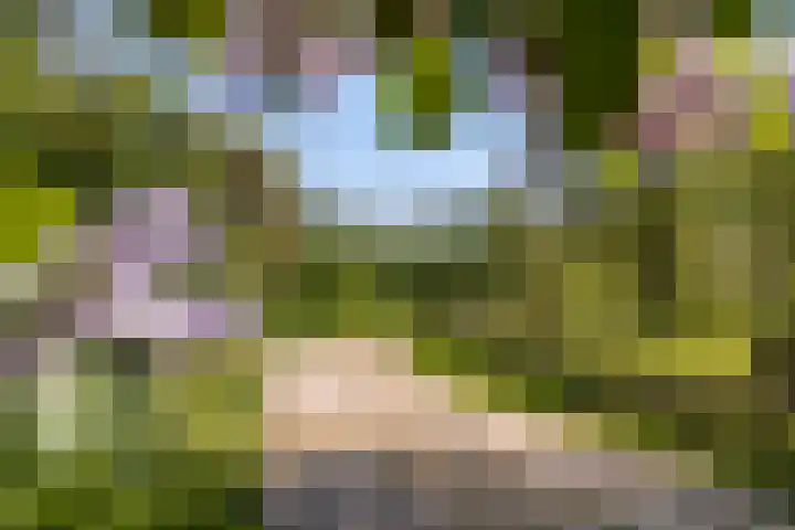 Rietveld 128 Woerden thumbnail 23