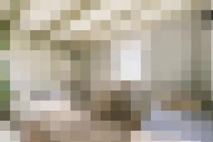 Rietveld 128 Woerden thumbnail 25