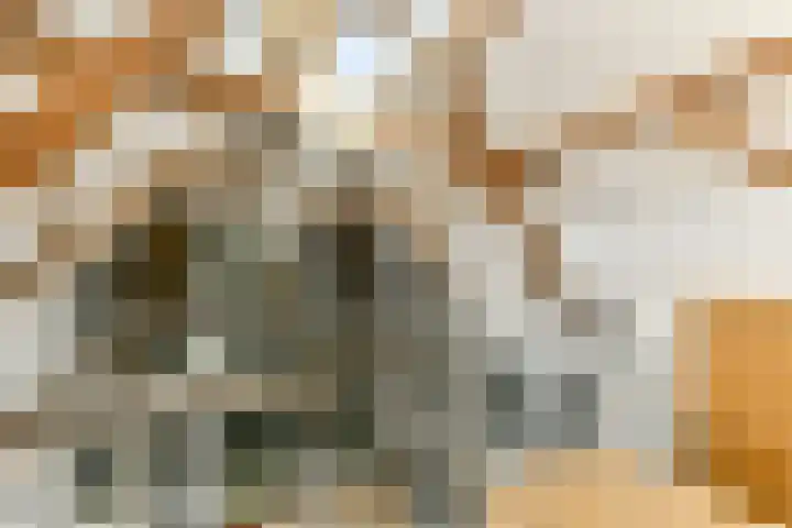Rietveld 128 Woerden thumbnail 27