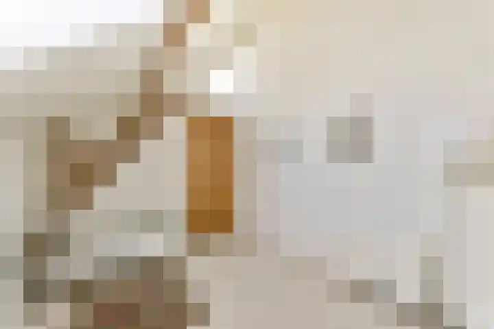 Rietveld 128 Woerden thumbnail 29