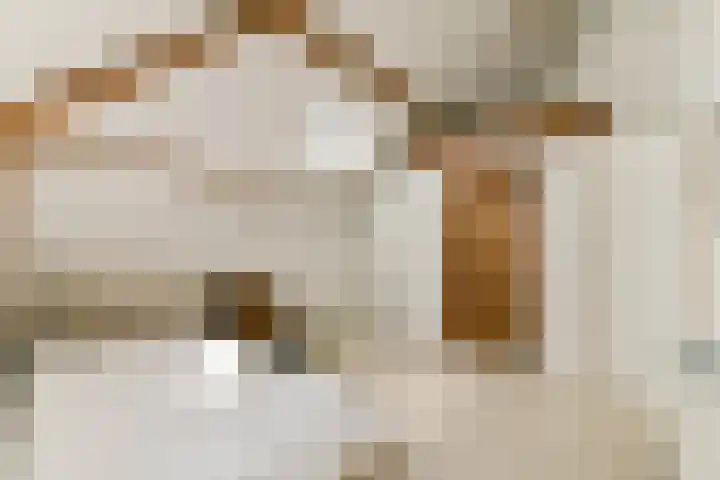 Rietveld 128 Woerden thumbnail 30