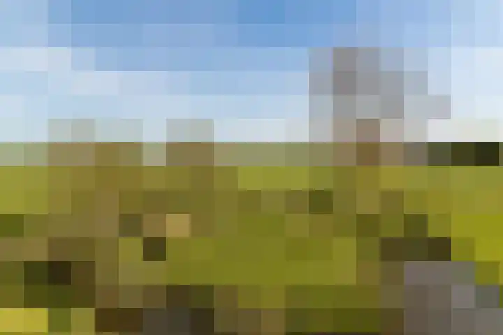 Rietveld 128 Woerden thumbnail 37