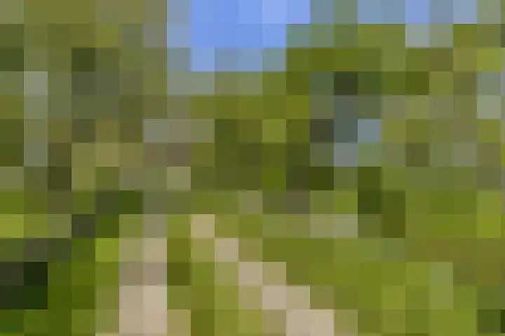 Rietveld 128 Woerden thumbnail 4