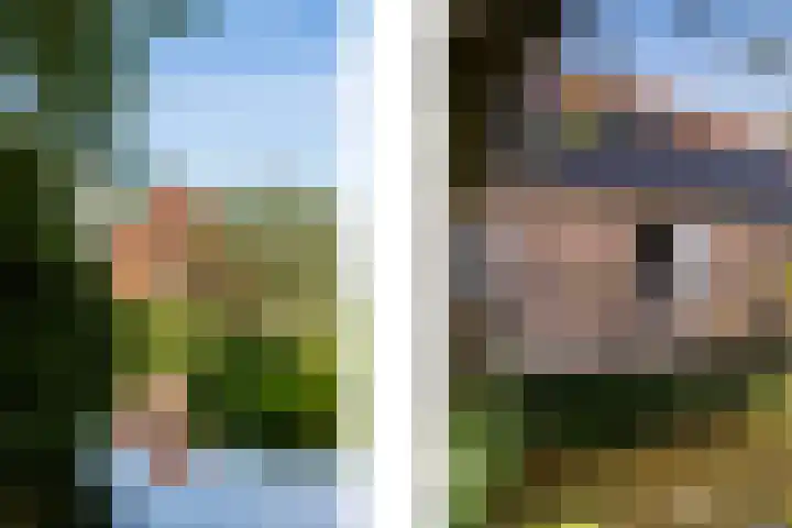 Rietveld 128 Woerden thumbnail 48