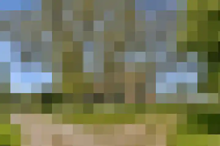 Rietveld 128 Woerden thumbnail 5