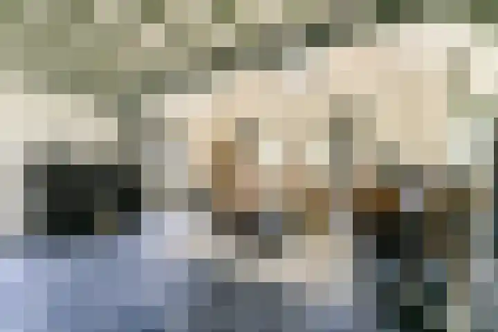 Rietveld 128 Woerden thumbnail 51