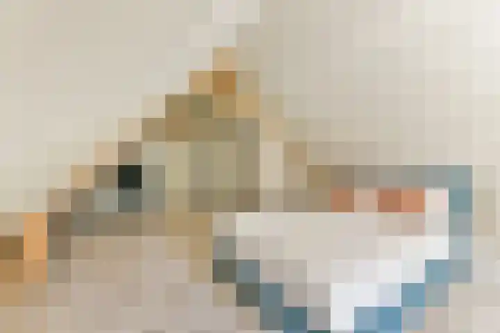 Rietveld 128 Woerden thumbnail 55