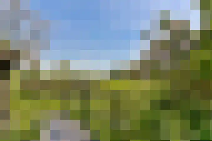 Rietveld 128 Woerden thumbnail 57