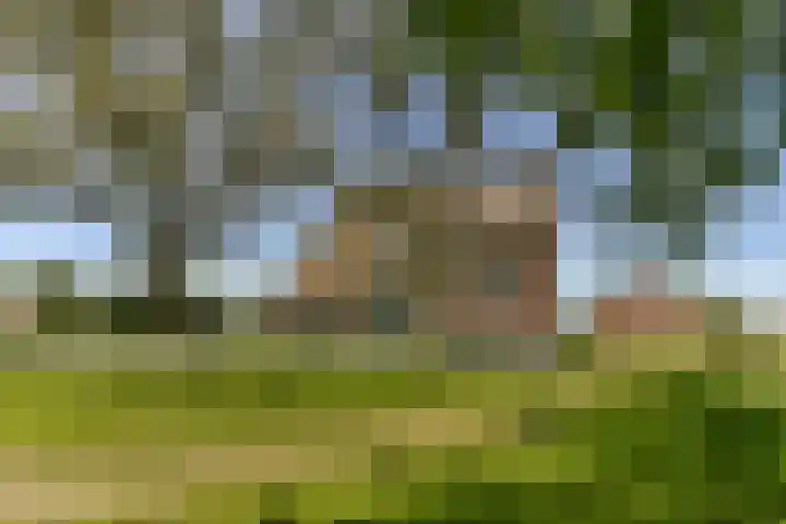 Rietveld 128 Woerden thumbnail 6