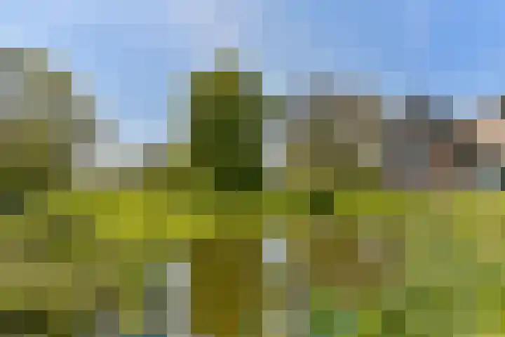 Rietveld 128 Woerden thumbnail 60