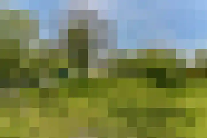 Rietveld 128 Woerden thumbnail 63