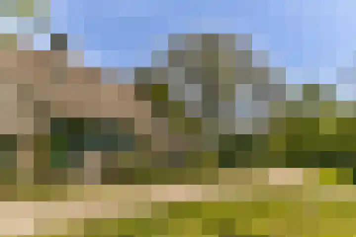 Rietveld 128 Woerden thumbnail 8