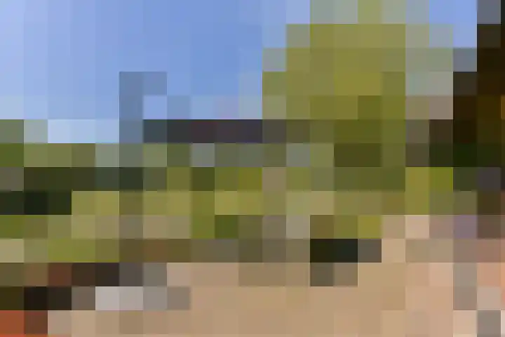 Rietveld 128 Woerden thumbnail 9