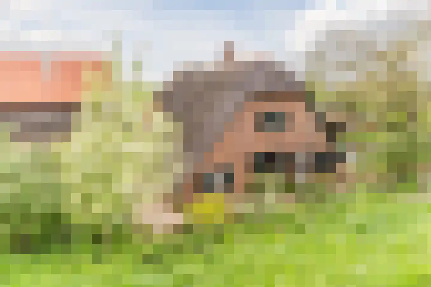 Rietveld 13 Arkel