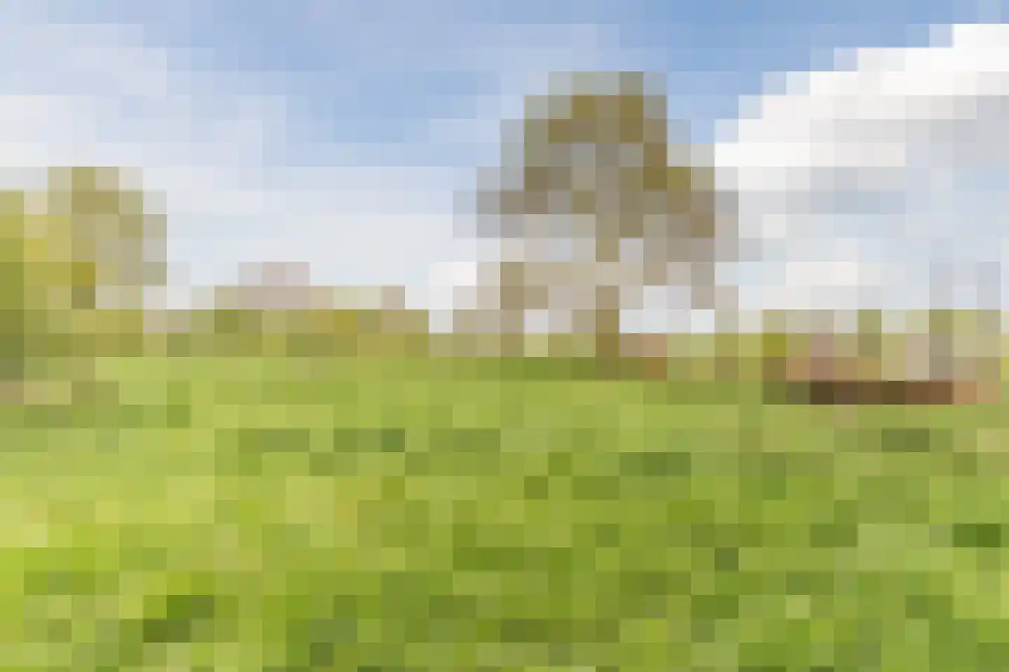 Rietveld 13 Arkel thumbnail 6