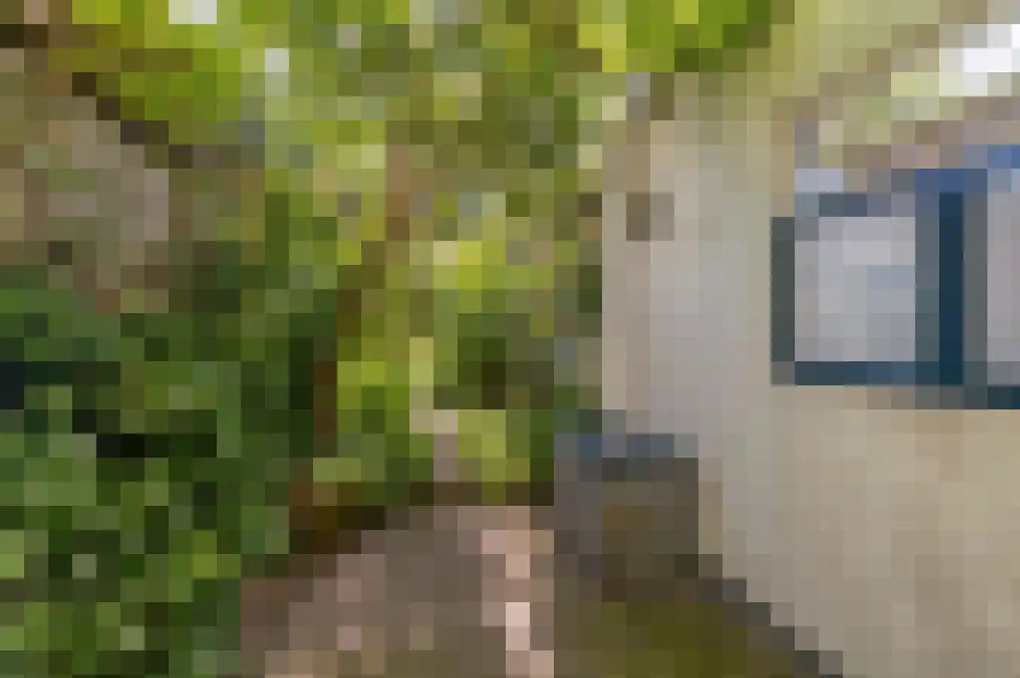 Rietveld 131 Delft thumbnail 14