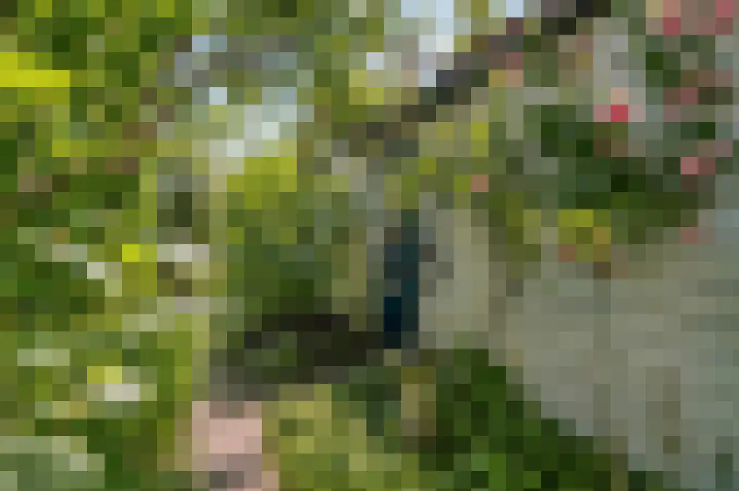 Rietveld 131 Delft thumbnail 15