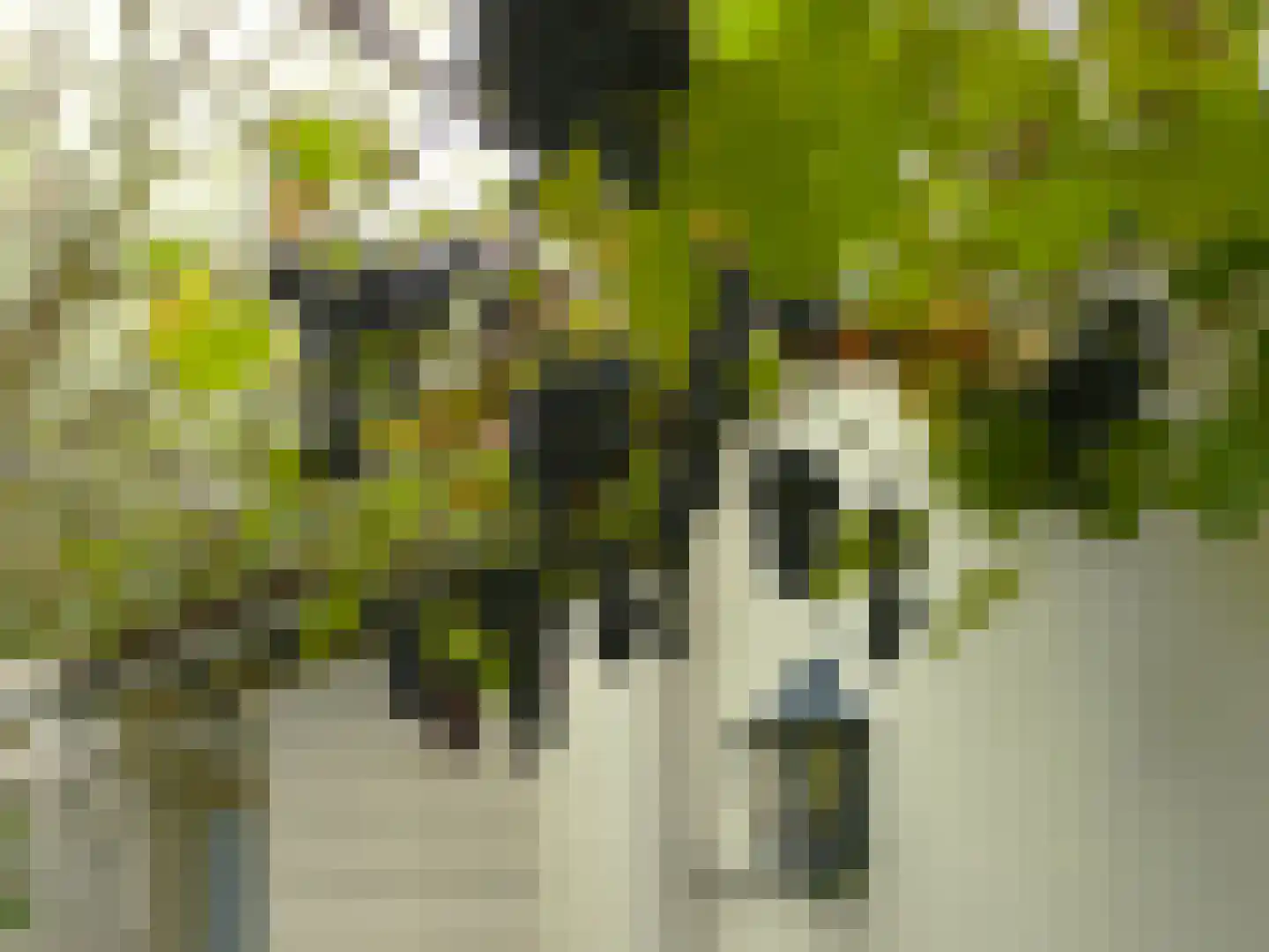 Rietveld 131 Delft thumbnail 16