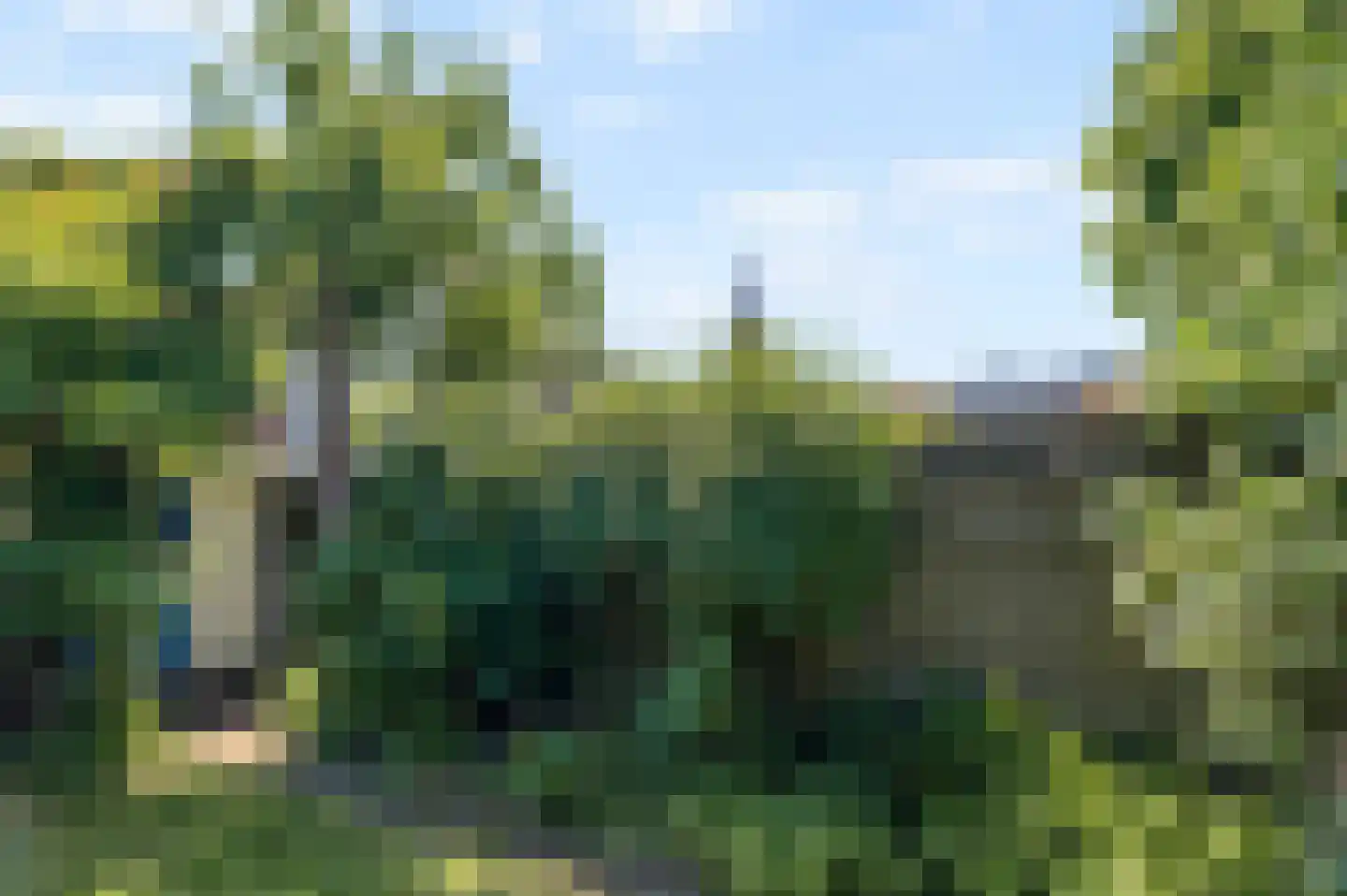Rietveld 131 Delft thumbnail 17