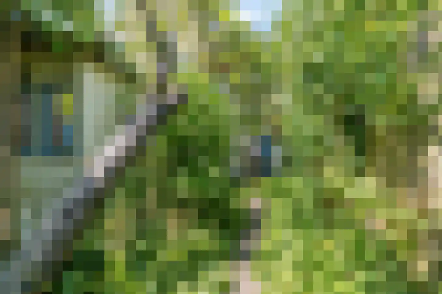 Rietveld 131 Delft thumbnail 19