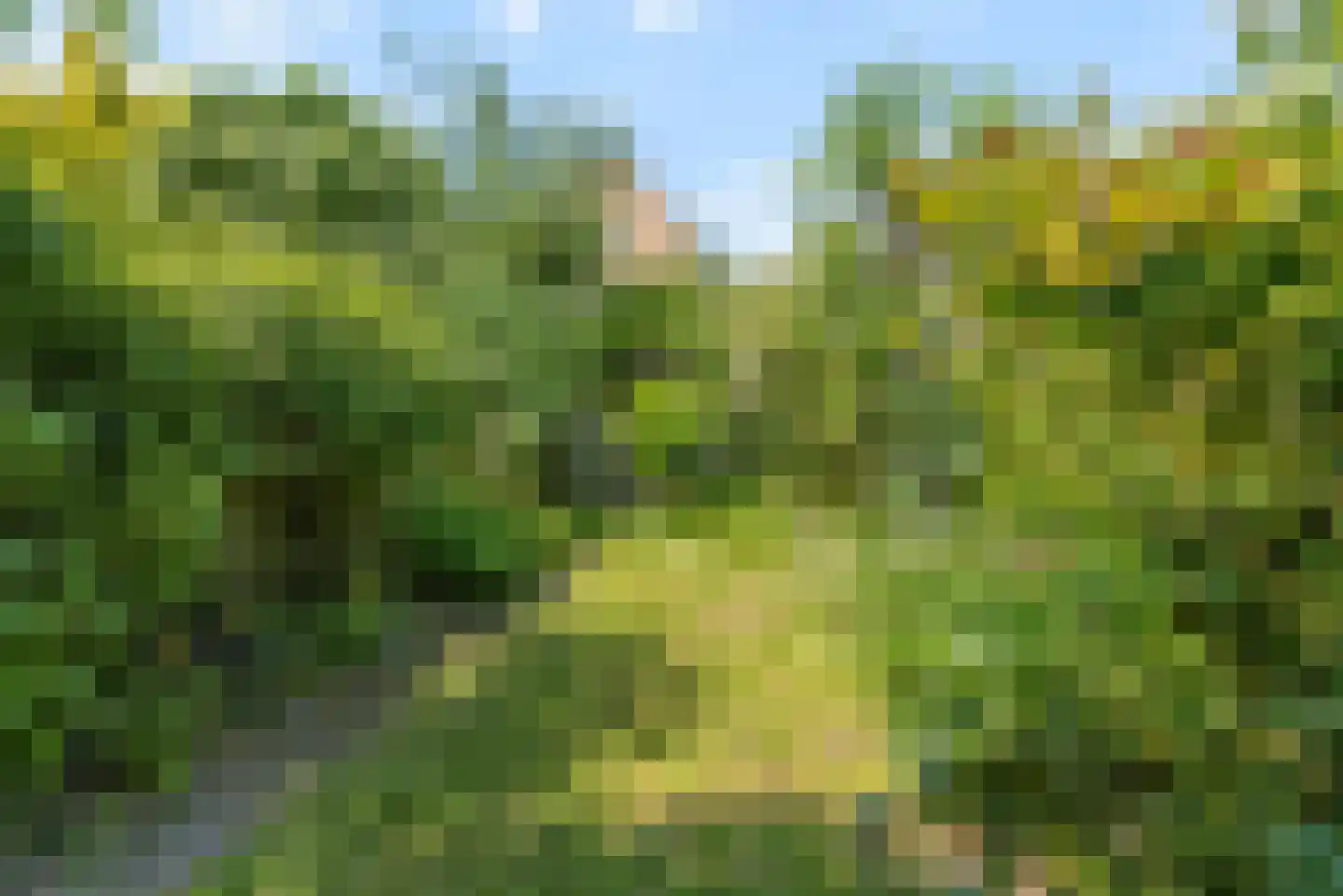 Rietveld 131 Delft thumbnail 20