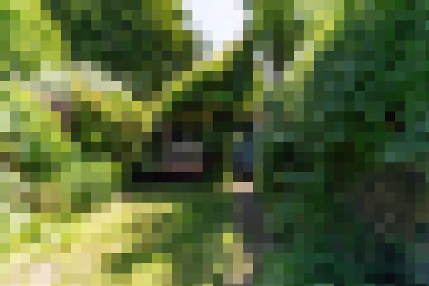 Rietveld 131 Delft thumbnail 22