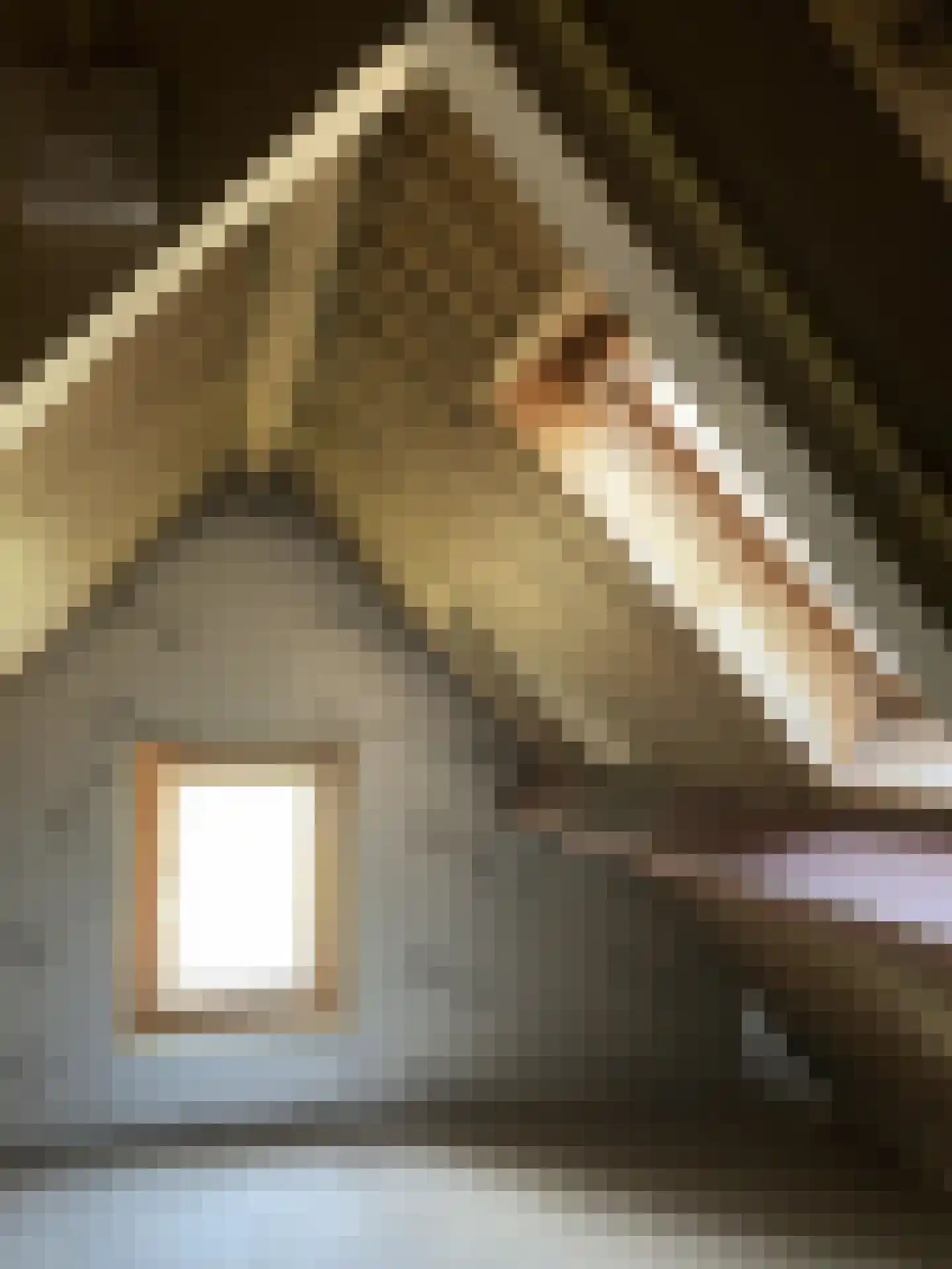 Rietveld 131 Delft thumbnail 33