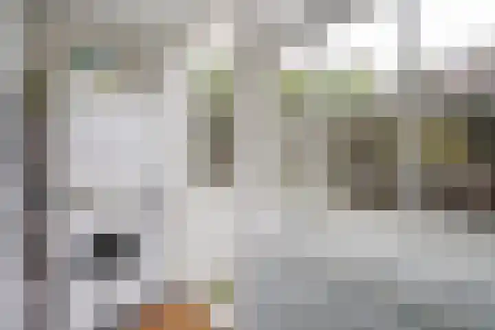 Rietveld 179 Delft thumbnail 23
