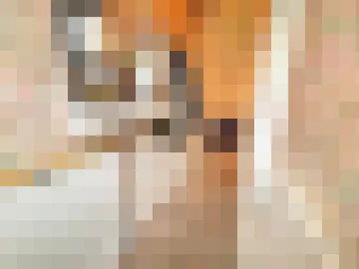 Rietveld 179 Delft thumbnail 27