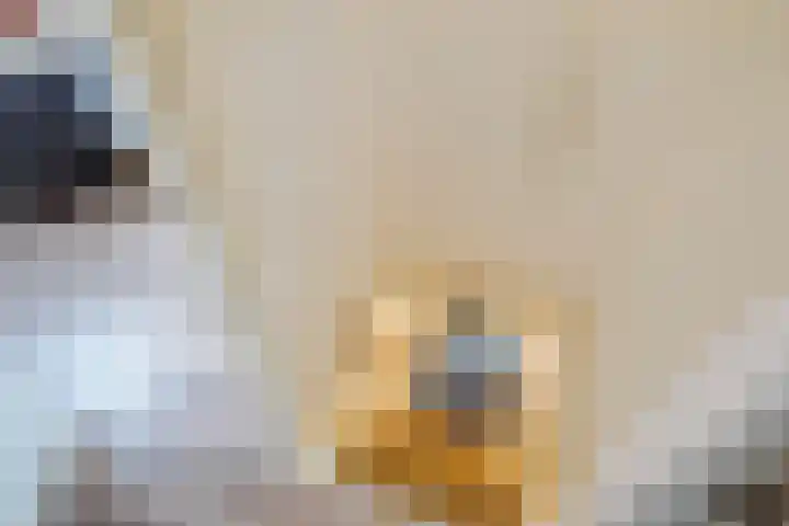 Rietveld 179 Delft thumbnail 39