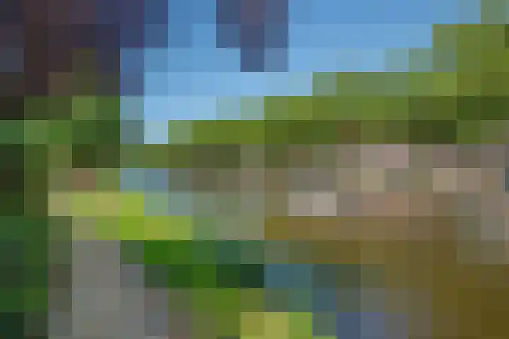 Rietveld 179 Delft thumbnail 50