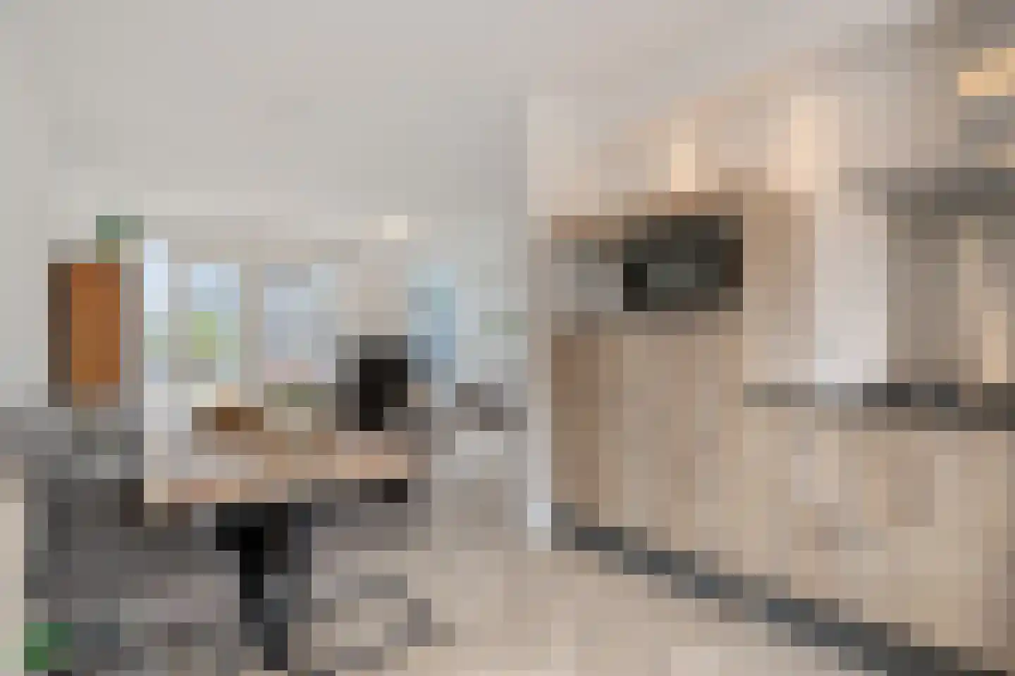 Rietveld 18 Nieuw-Roden thumbnail 15