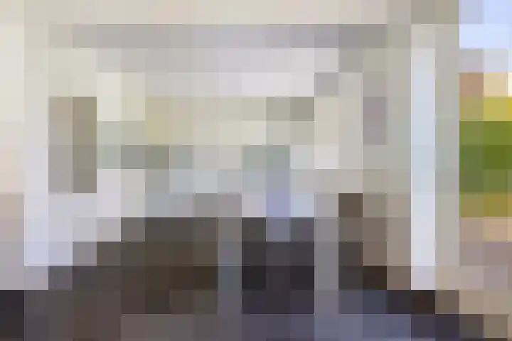 Rietveld 19 Berlicum thumbnail 10