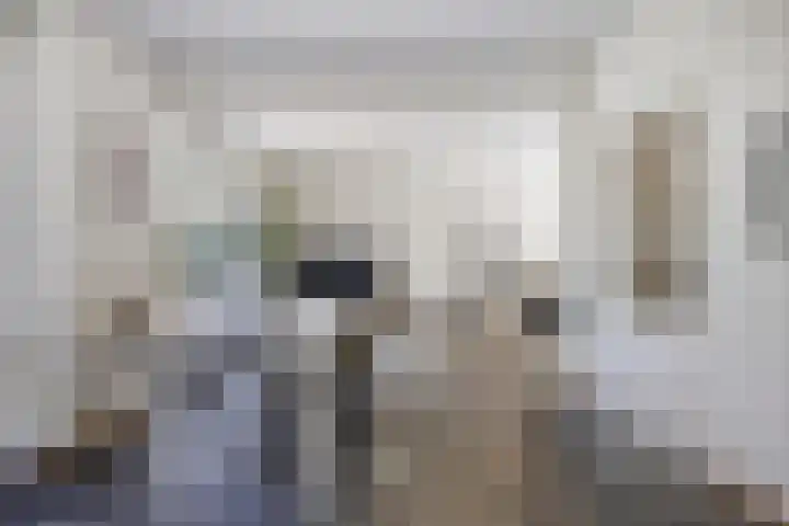 Rietveld 19 Berlicum thumbnail 11
