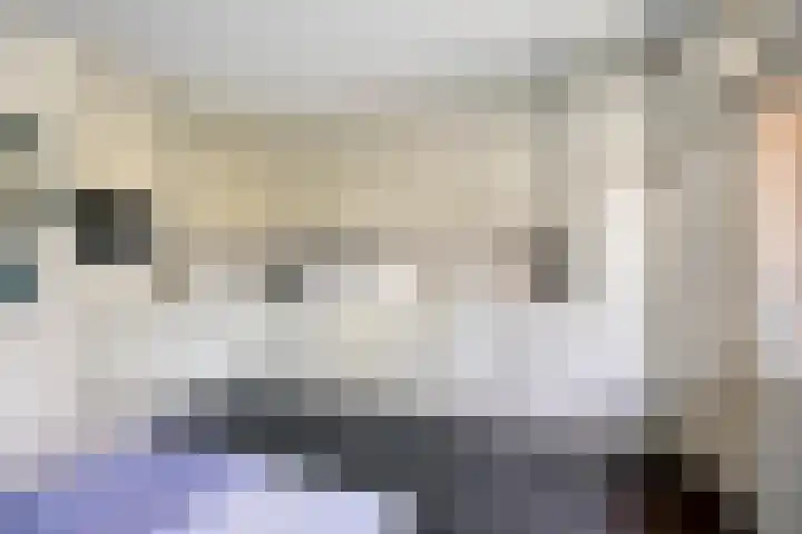 Rietveld 19 Berlicum thumbnail 13