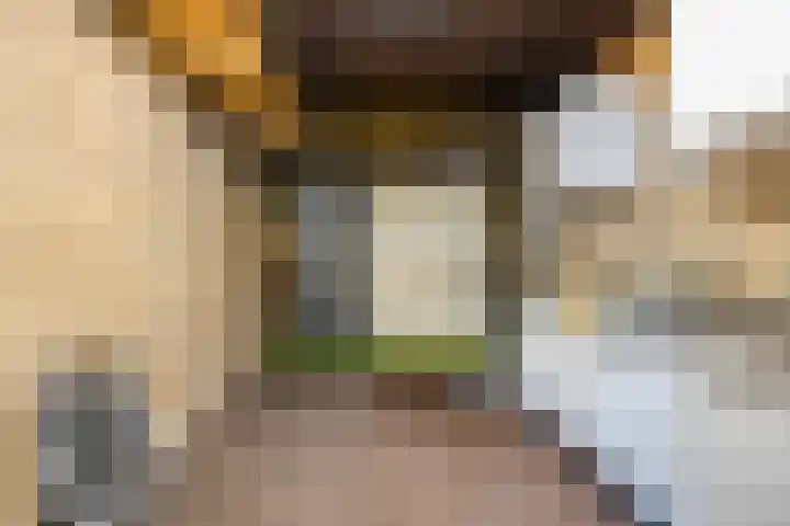 Rietveld 19 Berlicum thumbnail 14