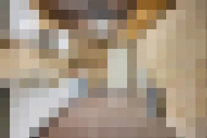Rietveld 19 Berlicum thumbnail 15